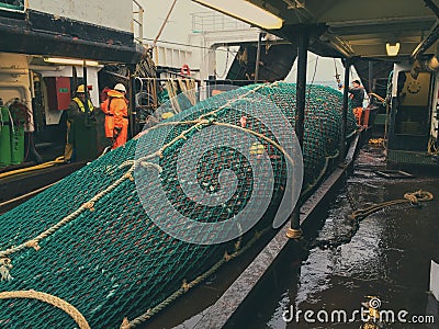 Trawl with redfish Editorial Stock Photo