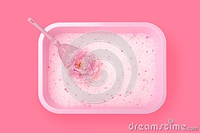 Pink tray box with a white cat-like filler from the smell of urine and a scoop for cleaning poop in the form of a beautiful peony Stock Photo