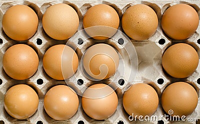 Tray of brown eggs Stock Photo