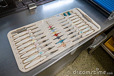 Tray contains the instruments for a finger joint prosthesis Stock Photo