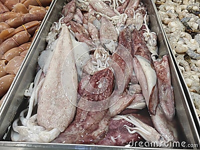 a tray full of loligo forbesii squid. Stock Photo