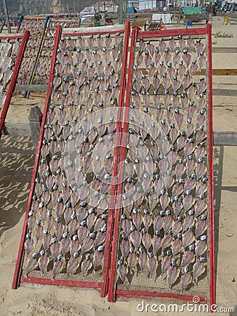 trays with scaled fish in the process of drying in the sun and in the air, typical of the town of Nazaré Stock Photo