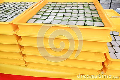 Trays of tepung pelita, popular sweet dessert in Malaysia Stock Photo