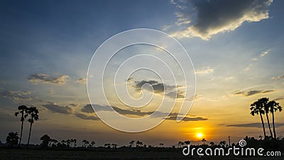 Traînée crépusculaire d'étoile de ciel nocturne de beau de temps coucher du soleil de laps banque de vidéos Traînée crépusculaire d'étoile de ciel nocturne de beau de temps coucher du soleil de laps banque de vidéos