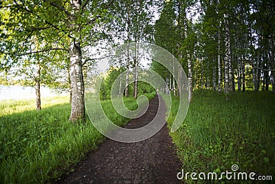 Treadmill at sunset in the summer Stock Photo