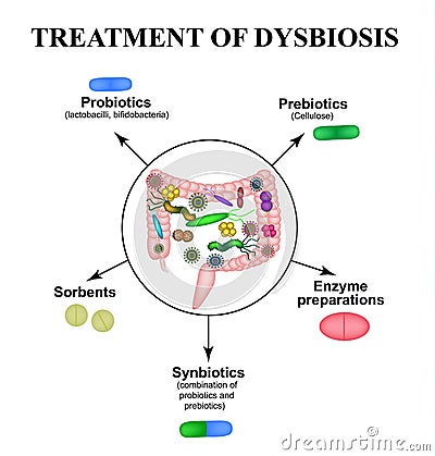 Treatment of dysbacteriosis in the intestines. Colon. Bacteria pathogenic flora. Infographics. Vector illustration Vector Illustration