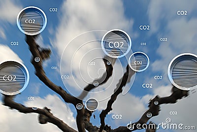 tree absorbing carbon dioxide concept Stock Photo