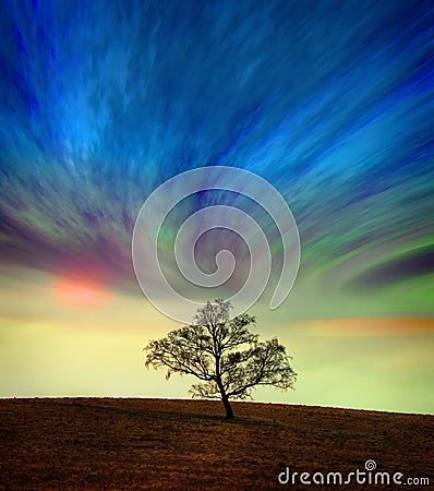 Tree Against A Surreal Sky Stock Photo