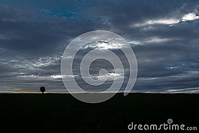 Tree alone in field with sunset near Ottenschlag town in Austria evening Stock Photo
