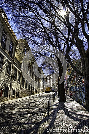 Tree along street, Lisbon, Portugal Stock Photo