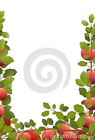 Tree apples with ripe fruits. Branches in form of frame. Garden plant with edible harvest. Branch with foliage and Vector Illustration