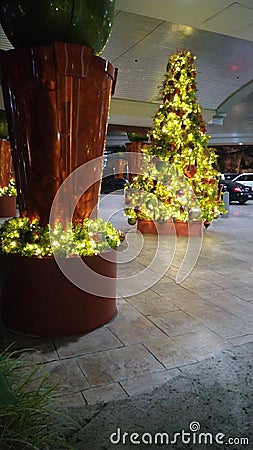 Tree asino walkway lights Christmas Stock Photo