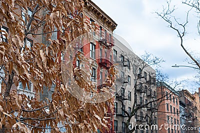 Tree with Autumn Colored Leaves in front of a Row of Colorful Old Buildings in Kips Bay New York City Stock Photo