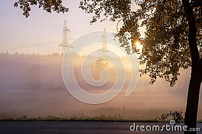 A tree with autumn yellow leaves and an asphalt road against the backdrop of the rising sun and a high-voltage line. Stock Photo