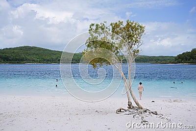 Tree at awesome freshwater lake Editorial Stock Photo