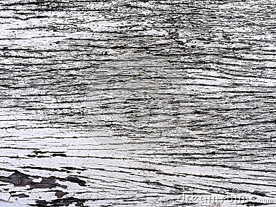 Tree Bark Plank Stock Photo