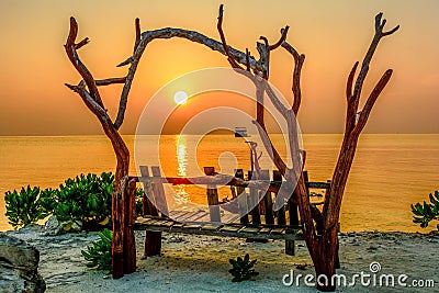 Tree bench on the sunset over the sea Stock Photo