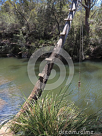 Tree bent over river with swing, Australian countryside Stock Photo