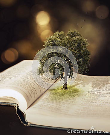 Tree in the Bible. Stock Photo