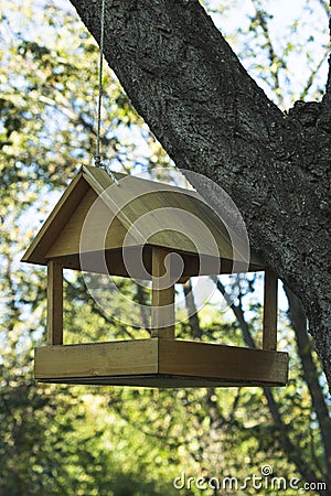 Tree big birdhouse. Preparing for the winter. The place where bird feed is put in Stock Photo