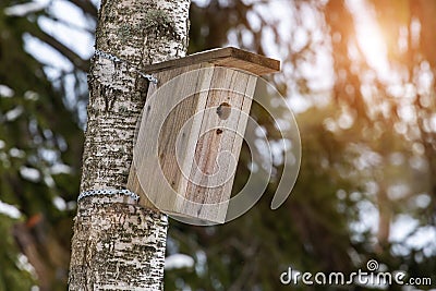 Tree bird birdhouse on a tree with sunny glare Stock Photo