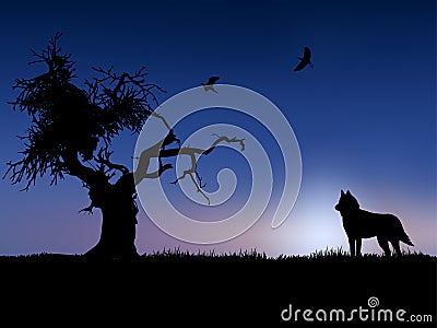 Tree, bird and wolf in twilight Vector Illustration