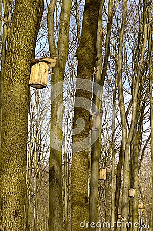 On a tree birdhouse for birds Stock Photo