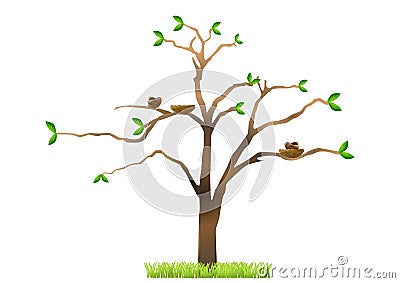 Tree with birds nesting Stock Photo