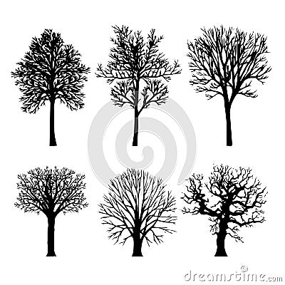 Tree Branch Arid Black Silhouettes Nature Forest Vector Illustration Vector Illustration