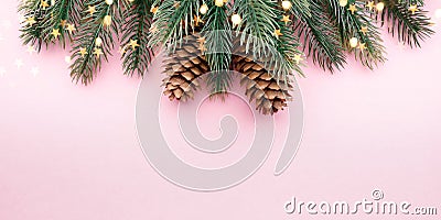A tree branch with cones on a pink background Stock Photo