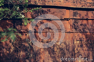 Tree branch on iron background Stock Photo