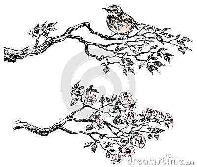 Tree branch Vector Illustration