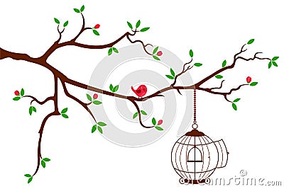 Tree Branch with rounded bird cage Stock Photo