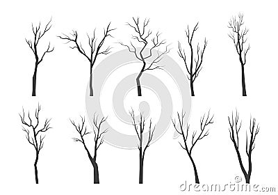 Tree branch silhouette set. Bare twisting stems of plants with various tracery forms of growth winter with no forest Vector Illustration