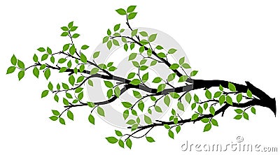 Tree Branch Silhouette, Vector Graphics Stock Photo