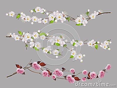 Tree branch, spring flowers vector set Vector Illustration