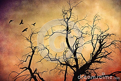 Tree branches with flock of ravens against a textured sunset sky Stock Photo