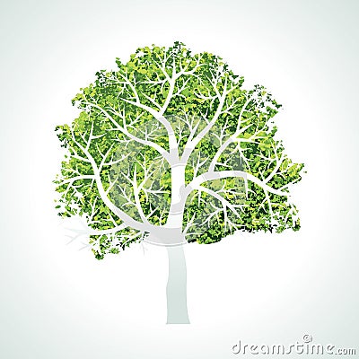 Tree with branches and leaves Vector Illustration