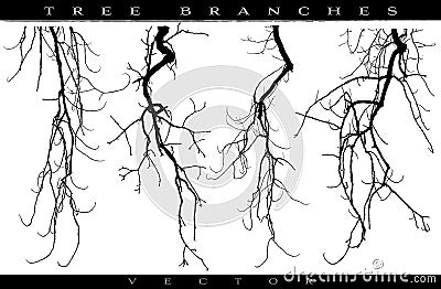 Tree branches Stock Photo