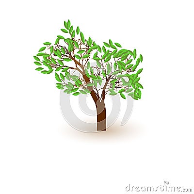 Tree casts a shadow, vector Vector Illustration