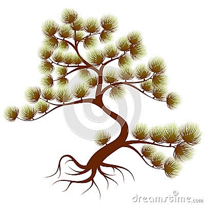 Tree cedar Vector Illustration