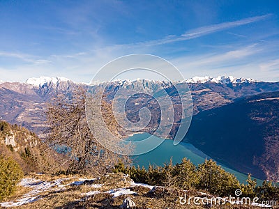 The tree on the cliff over the lake Santa Croce and the Dolomites Alps Stock Photo