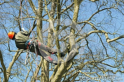 Tree climbing Stock Photo