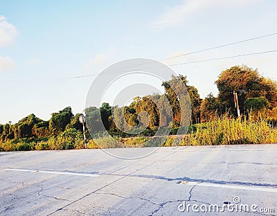 TREE CLOUD SKY ROAD ABSTRACT Stock Photo