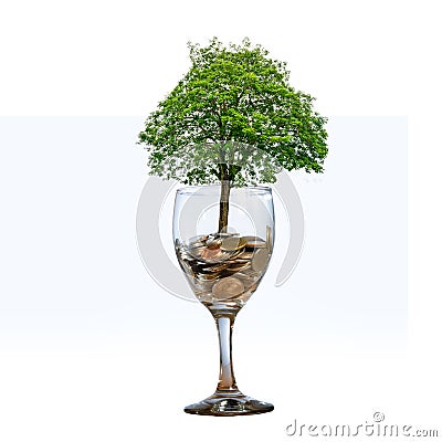 Tree Coin glass Isolate hand Coin tree The tree grows on the pile. Saving money for the future. Investment Ideas and Business Grow Stock Photo