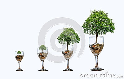Tree Coin glass Isolate increase saving money hand Coin tree The tree grows on the pile. Saving money for the future. Investment I Stock Photo