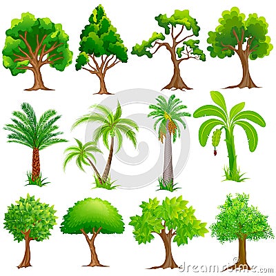 Tree Collection Vector Illustration