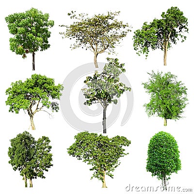 Tree collection set isolated Stock Photo