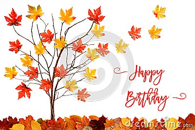 Tree With Colorful Leaf Decoration, Leaves Flying Away, Text Happy Birthday Stock Photo