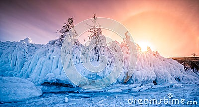 Tree covered with ice and snow at sunset in the shore of the soaring lake Baikal in winter, Siberia, Russia Stock Photo